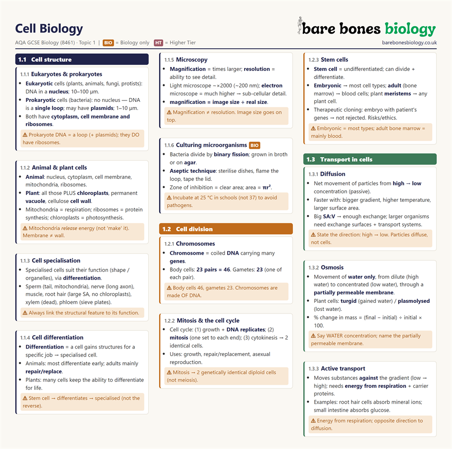 Preview of Knowledge Organisers - Whole Course (all 8)