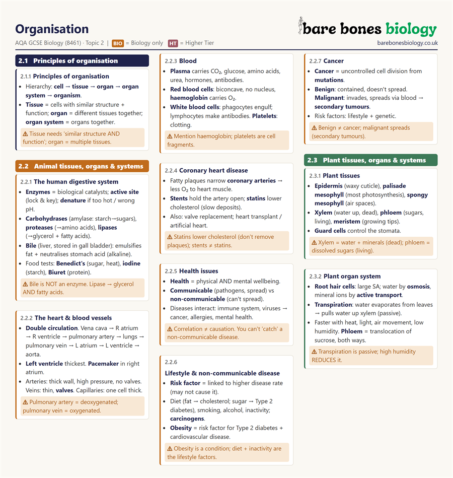 Preview of Unit 2 Knowledge Organiser — Organisation