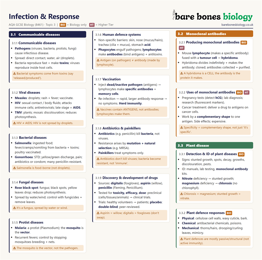 Preview of Unit 3 Knowledge Organiser — Infection & Response